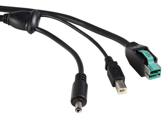Aparência mais limpa Cabo de impressora USB Alimentado USB 12V USB B Macho E 5521 DC Plug fornecedor